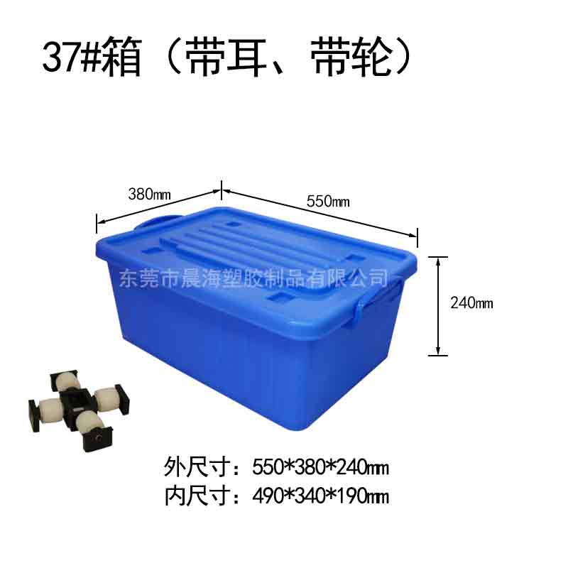 37#箱带耳轮